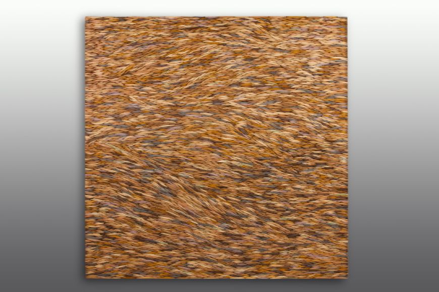 Pell de terra, 2011. Gres. 130 x 130 cm.