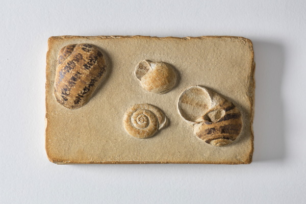 CARGOLS (2007). Tierra cocida esmaltada. Colección particular. | © Jordi Geli