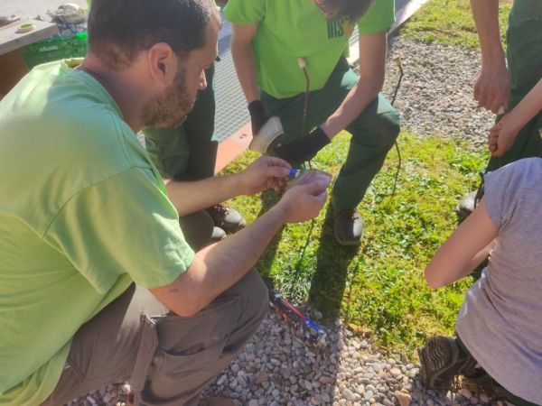 Alumnes del cicle formatiu durant el procés de muntatge de les flors de ceràmica