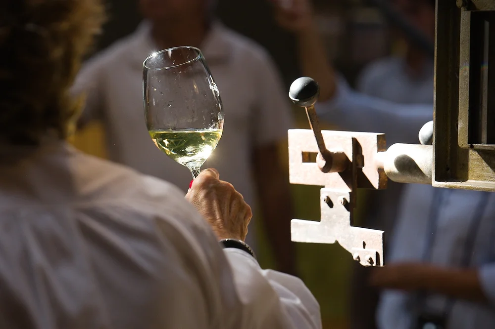 Beu-te el museu 2023. Fotografia de Joe Hogan | © Joe Hogan